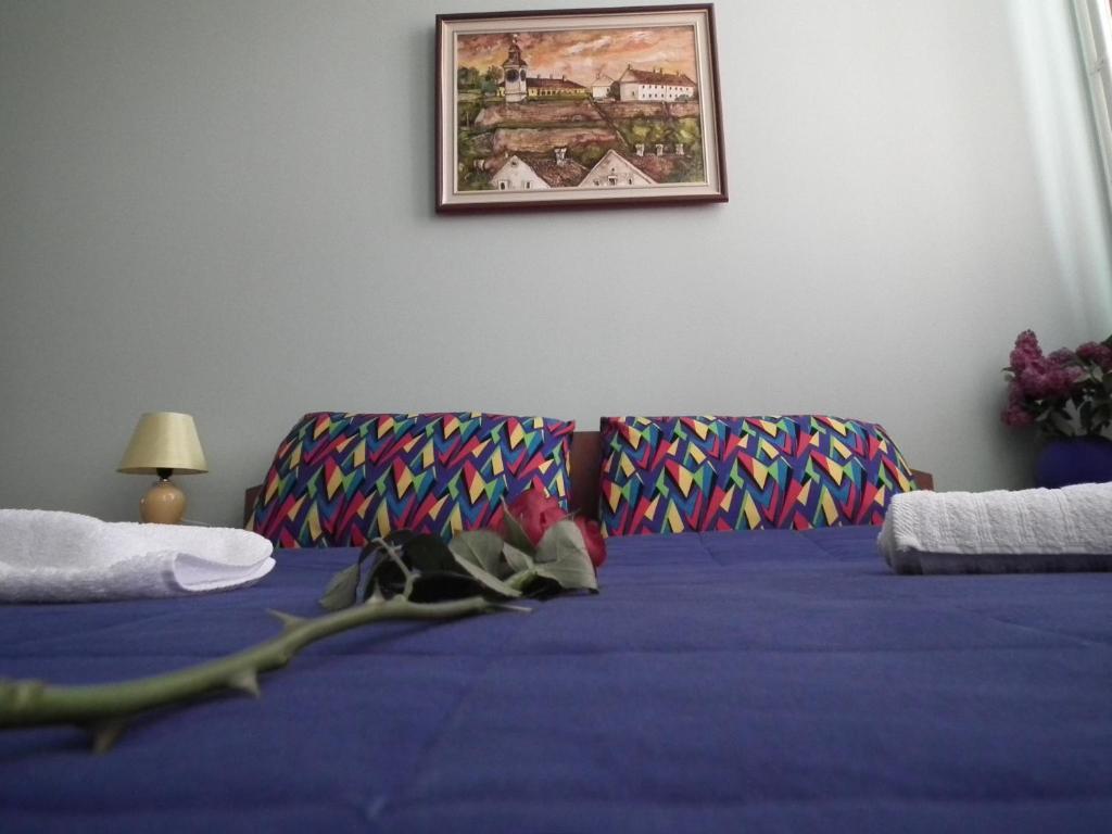 诺威萨 娜莎提维达瓦宾馆酒店 客房 照片